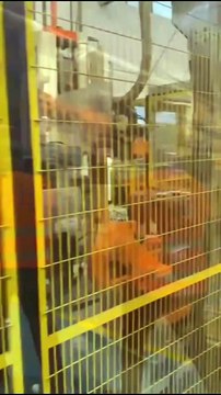 Zaia - DOPO ZAIA… SCRIVI ZAIA ! Oggi sono a Padova con Leoncino! La città della straordinaria Università, delle scienze, della medicina e dell’arte. Fra Prato della Valle, la Specola, le piazze e tanto altro…. Viva Padova‼️Aiutami a condividere!Musica