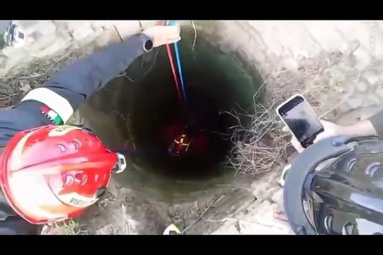 Image from field_mediaid