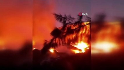 Arjantin’de sanayi bölgesinde şiddetli patlama: 22 yaralı