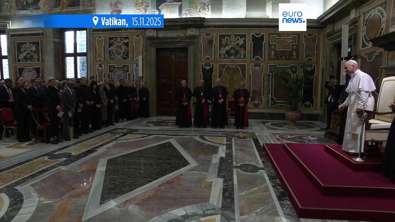 Papst Leo XIV. empfängt Prominenz aus Hollywood