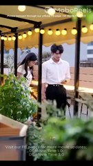 A Turbulent Love Flight (Moboreels)