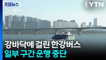 강바닥에 걸린 한강버스...또 일부 구간 운항 중단 / YTN