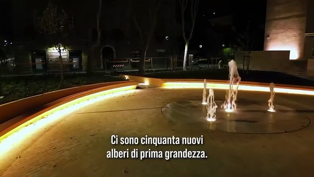 Image from field_mediaid