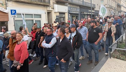 Manifestation viticulteurs Béziers
