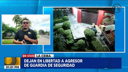 Dejan libre a hombre que agredió a guardia de seguridad en La Ceiba