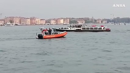 Il delfino di Venezia allontanato dal bacino di San Marco