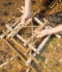 Use this hack to prevent animals from stealing your food!