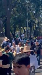 Marcha de la generación Z