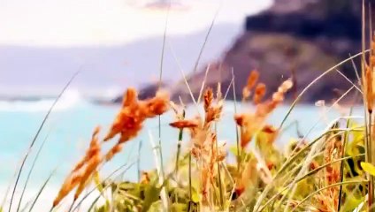 Home and Away 8559 26th August 2025