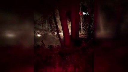 Muğla’da çıkan orman yangını kısa sürede kontrol altına alındı