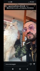 agozzino Alfredo e i suoi gatti