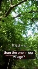 Bride Of The Mountain God Dream Of Flowers Also Awakens - Full Movie