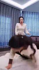 Step Aside, I Am Rewriting My Story - Full Movie