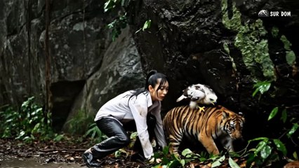 Part 48 - A Girl Alone Surviving In The Forest - A Giant Python Appears in the Ancient Forest