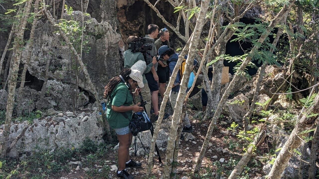 Triangle des Bermudes : les mystères engloutis