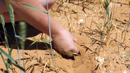 Regional women helping keep drought-affected communities together