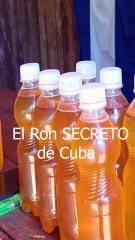Le Trésor de Pinar del Río : Le Rhum Artisanal de Cuba