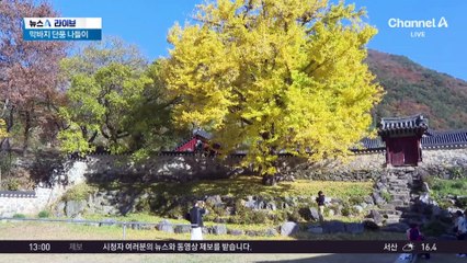 막바지 단풍…내일부터 10도 이상 ‘뚝’