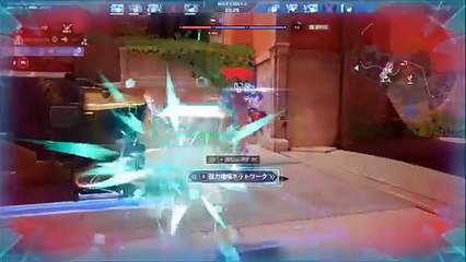 ストリノヴァ　スチーム（STRINOVA STEAM）14