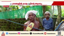 'ഇത് ഞങ്ങൾക്കൊരു ഹരമാണ്'; ചേറിൽ കുതിച്ച് പാഞ്ഞ് കാളകൾ, ആവേശമായി പുല്ലാളൂരിലെ കാളപൂട്ട്