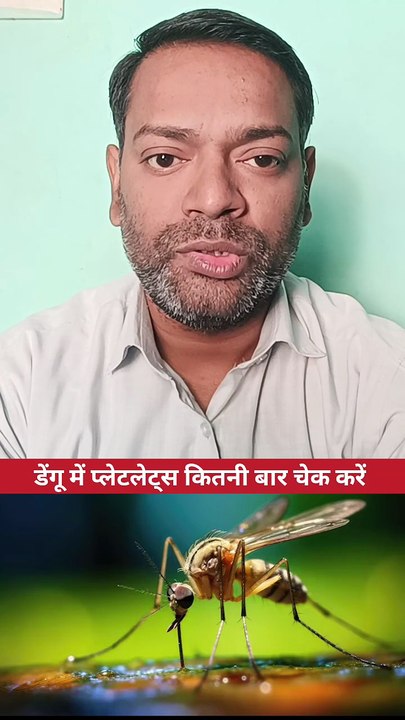 प्लेटलेट्स ।