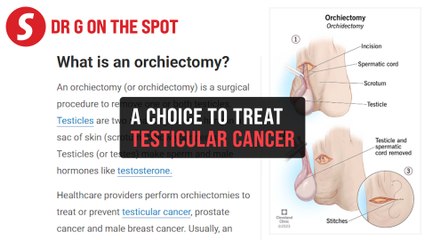 EP300: Mechanism of orchidectomy | PUTTING DR G ON THE SPOT