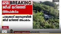 പാലക്കാട് മലമ്പുഴയിൽ ജീപ്പ് മറിഞ്ഞ് അപകടം, ജീപ്പ് യാത്രികർക്ക് പരിക്ക്