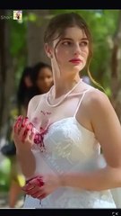 Es El Rey Alfa Es Mi Segundo Pareja Completo