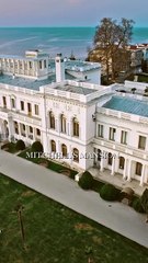 The Cleaner With a Billion Dollar Secret shortical (2)