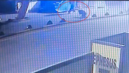 Saldırdığını iddia ettiği sokak köpeğine ateş etti: O anlar kameraya yansıdı