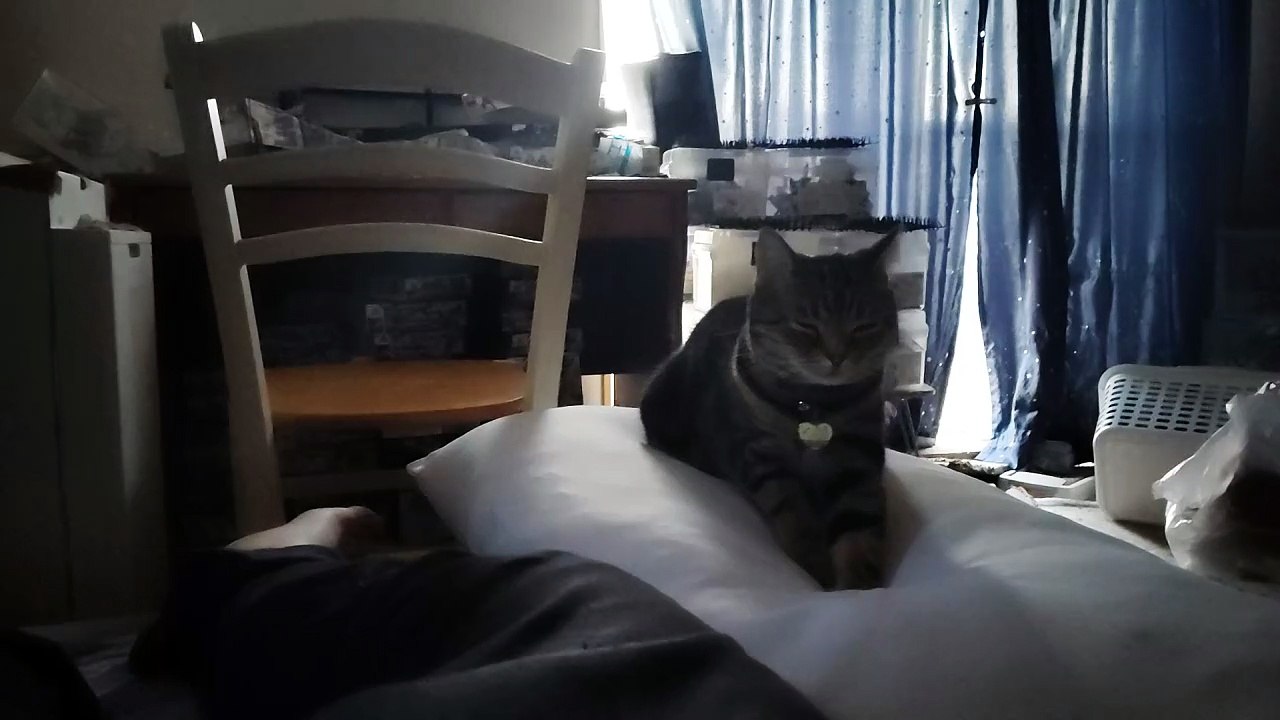 ふみふみミア3