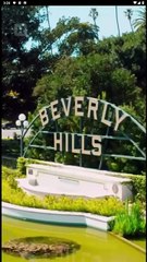 Fated To Find You  Reelshort