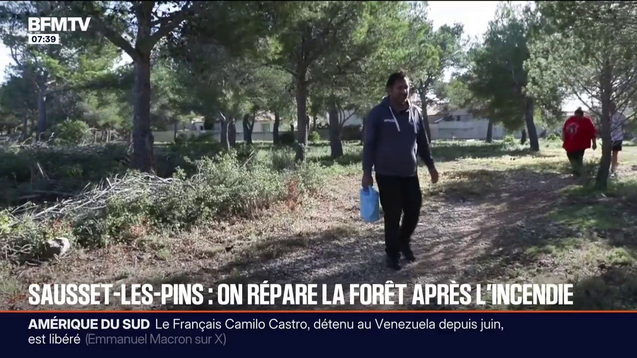 Sausset-les-Pins: une centaine d'arbres plantés cinq ans après un incendie qui avait ravagé 1.000 hectares de forêt