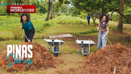 Kara David at Sassa Gurl, gorabells sa hamon ng paglagay ng coco fiber sa mga pananim! | Pinas Sarap