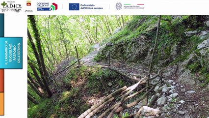 Forza Italia - Partecipazione Ministro Tajani alla presentazione Progetto Pilota Irpinia “Turismo delle RADICI"  (15.11.25)