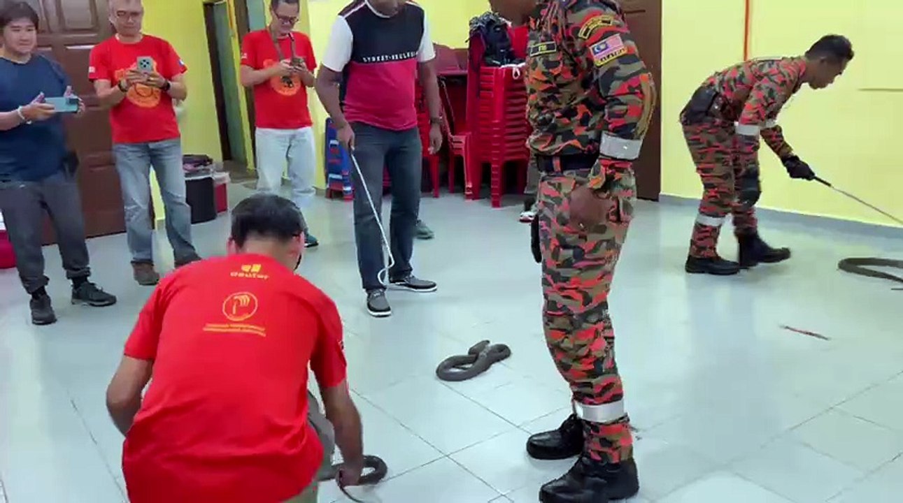 Fire and Rescue Department with a monocled cobra