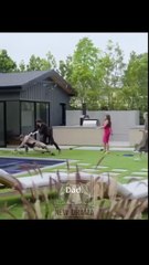 💛🍏The Father's Guardian Angel ✅ dailymotion Mi Dulce Ángel Guardián | O Anjo da Guarda do Pai👍 [Good] 🌍