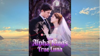 The Alpha King's True Luna #Dramabox