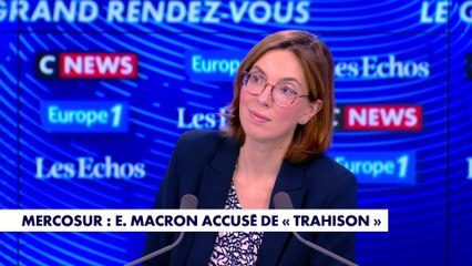Amélie de Montchalin sur le Mercosur: «Sans certaines clauses, nous ne soutiendrons pas cet accord»