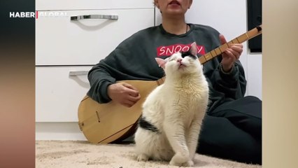 Saz çalan sahibinin yanında kendinden geçip, başka bir boyuta dalan kedi kahkahaya boğdu