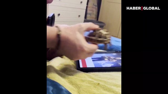 Bir kaplumbağanın hayatına heyecan kattığı anlar izlenme rekoru kırdı