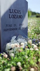 I Married Her as a Joke... Until I Saw Her Crying #romantic