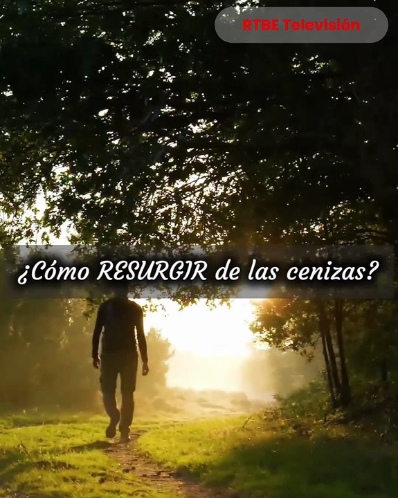 El Fénix Renacido: segunda edición del libro que ha tocado millones de almas