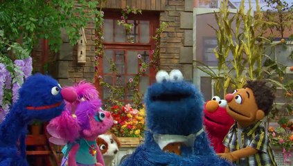 Sesame Street S01E02 Cookie Monsters Big Puzzle
