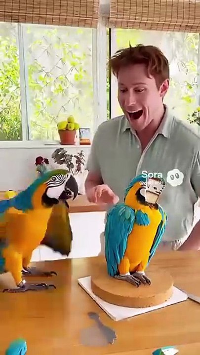 Phillies land All-Star closer Jhoan Duran ahead of MLB trade deadline 👀🔥 _JhoanDuran