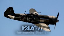 YAK-11 Normandie -Niémen 🤩🤩🤩