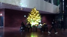 富国生命ビルのクリスマスツリー2025