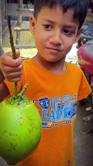 "Master the Art: Beautiful Coconut Cutting Skills That Will Wow Everyone! 🌴✂️"