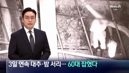 3일 연속 대추·밤 서리…60대 남성 잡혔다