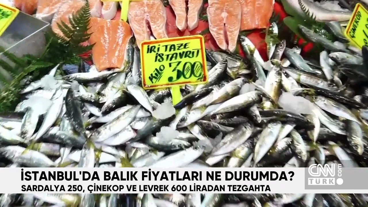 Hafta Sonu Ana Haber 15 Kasım 2025 Cumartesi